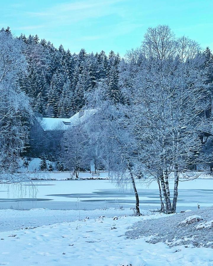 Lakeside Apartments Seefeld Ζέεφελντ Εξωτερικό φωτογραφία